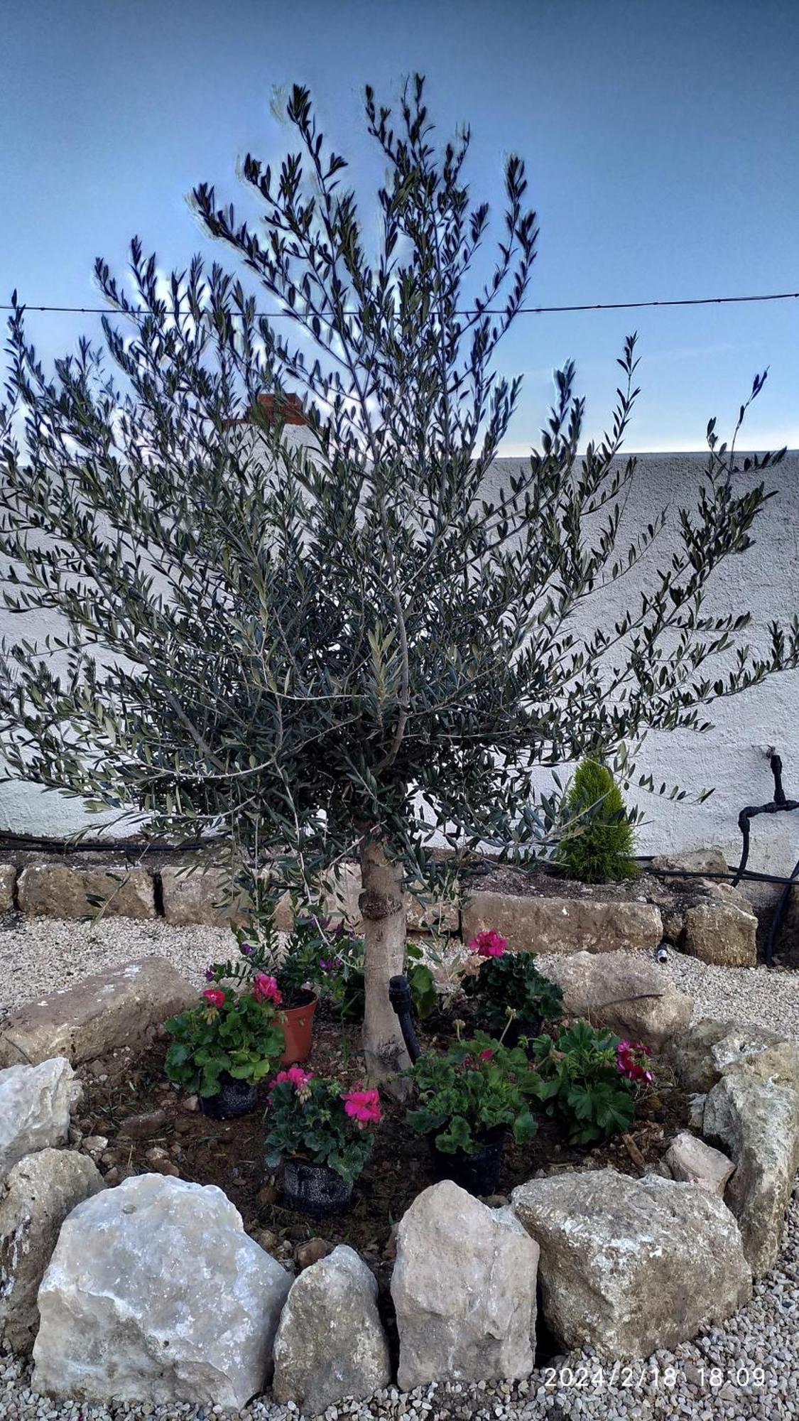 Casa Cueva El Olivo Villa Pegalajar Dış mekan fotoğraf